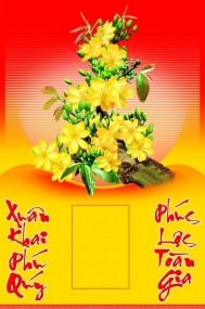 Lịch Tết Đón Xuân HOA MAI